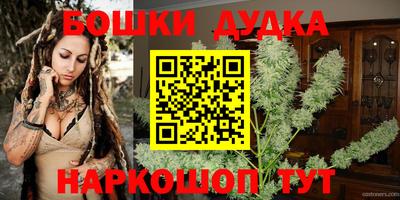 дживик Славгород